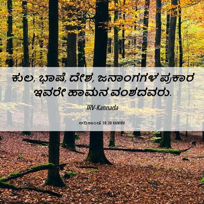 Picture 06 - ಆದಿಕಾಂಡ 10:20 KANIRV - ಕುಲ, ಭಾಷೆ, ದೇಶ, - Bible Verse Picture