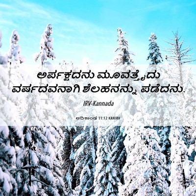 Picture 06 - ಆದಿಕಾಂಡ 11:12 KANIRV - ಅರ್ಪಕ್ಷದನು - Bible Verse Picture
