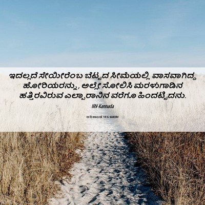 Picture 06 - ಆದಿಕಾಂಡ 14:6 KANIRV - ಇದಲ್ಲದೆ ಸೇಯೀರೆಂಬ - Bible Verse Picture