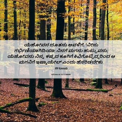 Picture 06 - ಆದಿಕಾಂಡ 16:11 KANIRV - ಯೆಹೋವನ ದೂತನು - Bible Verse Picture