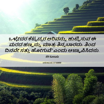 Picture 06 - ಆದಿಕಾಂಡ 2:17 KANIRV - ಒಳ್ಳೇದರ ಕೆಟ್ಟದ್ದರ - Bible Verse Picture