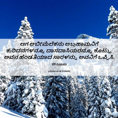 Picture 06 - ಆದಿಕಾಂಡ 20:14 KANIRV - ಆಗ ಅಬೀಮೆಲೆಕನು - Bible Verse Picture