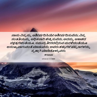 Picture 06 - ಆದಿಕಾಂಡ 22:17 KANIRV - ನಾನು ನಿನ್ನನ್ನು - Bible Verse Picture