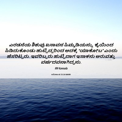 Picture 06 - ಆದಿಕಾಂಡ 25:26 KANIRV - ಎರಡನೆಯ ಶಿಶುವು - Bible Verse Picture