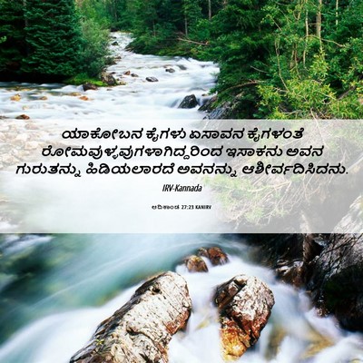 Picture 06 - ಆದಿಕಾಂಡ 27:23 KANIRV - ಯಾಕೋಬನ ಕೈಗಳು - Bible Verse Picture