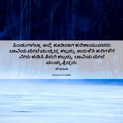 Picture 06 - ಆದಿಕಾಂಡ 29:3 KANIRV - ಹಿಂಡುಗಳೆಲ್ಲಾ - Bible Verse Picture