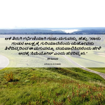 Picture 06 - ಆದಿಕಾಂಡ 29:33 KANIRV - ಆಕೆ ತಿರುಗಿ - Bible Verse Picture