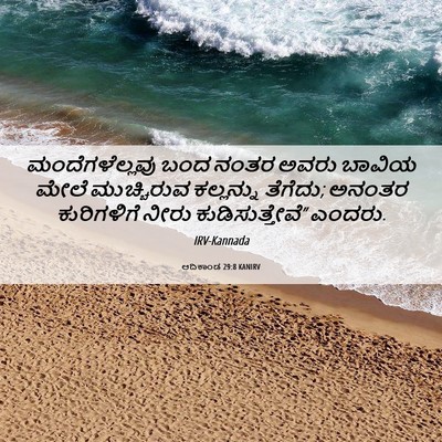 Picture 06 - ಆದಿಕಾಂಡ 29:8 KANIRV - ಮಂದೆಗಳೆಲ್ಲವು ಬಂದ - Bible Verse Picture