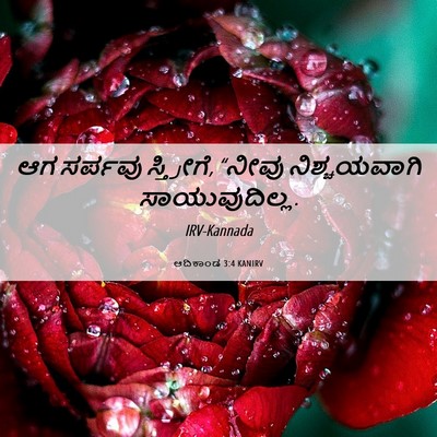 Picture 06 - ಆದಿಕಾಂಡ 3:4 KANIRV - ಆಗ ಸರ್ಪವು - Bible Verse Picture