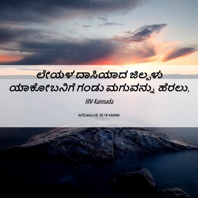 Picture 06 - ಆದಿಕಾಂಡ 30:10 KANIRV - ಲೇಯಳ ದಾಸಿಯಾದ - Bible Verse Picture
