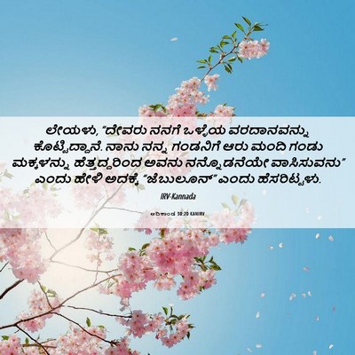 Picture 06 - ಆದಿಕಾಂಡ 30:20 KANIRV - ಲೇಯಳು, “ದೇವರು ನನಗೆ - Bible Verse Picture