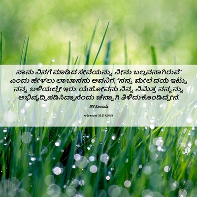 Picture 06 - ಆದಿಕಾಂಡ 30:27 KANIRV - ನಾನು ನಿನಗೆ ಮಾಡಿದ - Bible Verse Picture