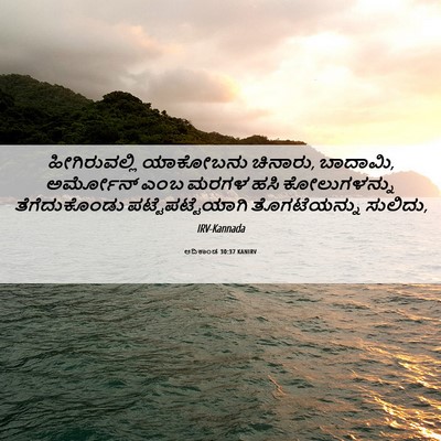 Picture 06 - ಆದಿಕಾಂಡ 30:37 KANIRV - ಹೀಗಿರುವಲ್ಲಿ - Bible Verse Picture