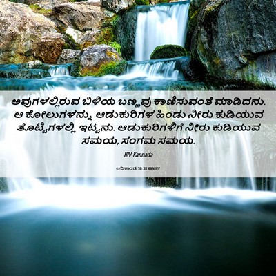 Picture 06 - ಆದಿಕಾಂಡ 30:38 KANIRV - ಅವುಗಳಲ್ಲಿರುವ - Bible Verse Picture