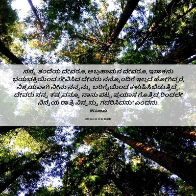 Picture 06 - ಆದಿಕಾಂಡ 31:42 KANIRV - ನನ್ನ ತಂದೆಯ ದೇವರೂ, - Bible Verse Picture
