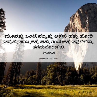 Picture 06 - ಆದಿಕಾಂಡ 32:15 KANIRV - ಮೂವತ್ತು ಒಂಟೆ, - Bible Verse Picture