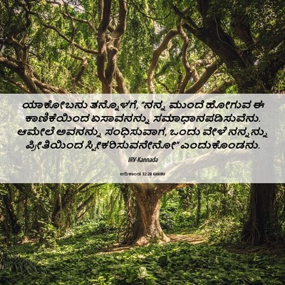 Picture 06 - ಆದಿಕಾಂಡ 32:20 KANIRV - ಯಾಕೋಬನು ತನ್ನೊಳಗೆ, - Bible Verse Picture