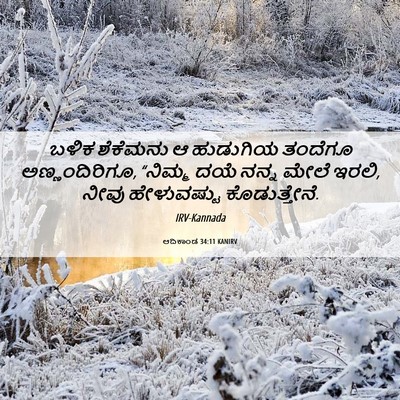 Picture 06 - ಆದಿಕಾಂಡ 34:11 KANIRV - ಬಳಿಕ ಶೆಕೆಮನು ಆ - Bible Verse Picture