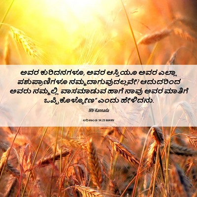 Picture 06 - ಆದಿಕಾಂಡ 34:23 KANIRV - ಅವರ ಕುರಿದನಗಳೂ, ಅವರ - Bible Verse Picture