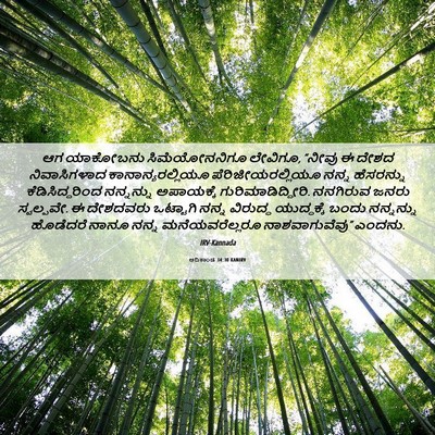 Picture 06 - ಆದಿಕಾಂಡ 34:30 KANIRV - ಆಗ ಯಾಕೋಬನು - Bible Verse Picture
