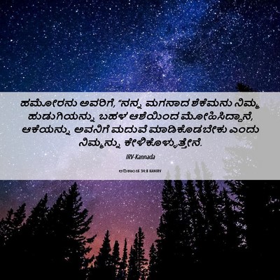 Picture 06 - ಆದಿಕಾಂಡ 34:8 KANIRV - ಹಮೋರನು ಅವರಿಗೆ, - Bible Verse Picture