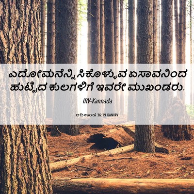 Picture 06 - ಆದಿಕಾಂಡ 36:19 KANIRV -  - Bible Verse Picture