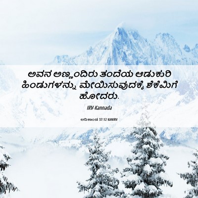 Picture 06 - ಆದಿಕಾಂಡ 37:12 KANIRV - ಅವನ ಅಣ್ಣಂದಿರು - Bible Verse Picture
