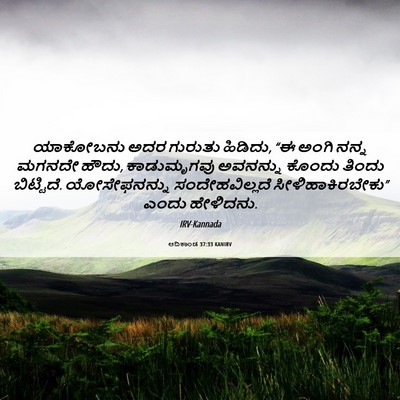 Picture 06 - ಆದಿಕಾಂಡ 37:33 KANIRV - ಯಾಕೋಬನು ಅದರ - Bible Verse Picture
