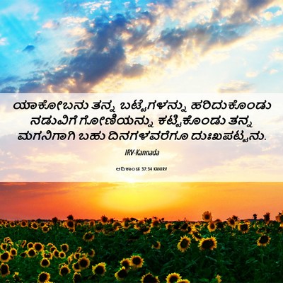 Picture 06 - ಆದಿಕಾಂಡ 37:34 KANIRV - ಯಾಕೋಬನು ತನ್ನ - Bible Verse Picture