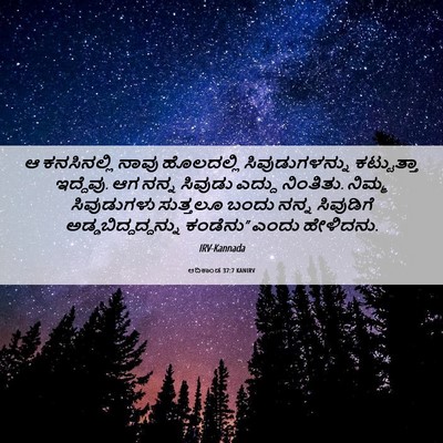 Picture 06 - ಆದಿಕಾಂಡ 37:7 KANIRV - ಆ ಕನಸಿನಲ್ಲಿ ನಾವು - Bible Verse Picture