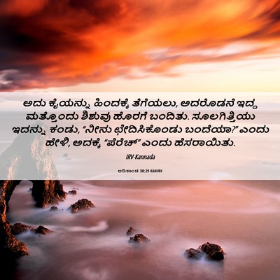 Picture 06 - ಆದಿಕಾಂಡ 38:29 KANIRV - ಅದು ಕೈಯನ್ನು - Bible Verse Picture