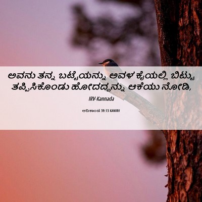 Picture 06 - ಆದಿಕಾಂಡ 39:13 KANIRV - ಅವನು ತನ್ನ - Bible Verse Picture