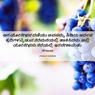 Picture 06 - ಆದಿಕಾಂಡ 39:20 KANIRV - ಆಗ ಯೋಸೇಫನ ದಣಿಯು - Bible Verse Picture
