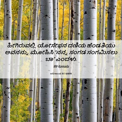 Picture 06 - ಆದಿಕಾಂಡ 39:7 KANIRV - ಹೀಗಿರುವಲ್ಲಿ - Bible Verse Picture