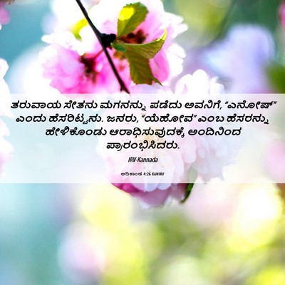 Picture 06 - ಆದಿಕಾಂಡ 4:26 KANIRV - ತರುವಾಯ ಸೇತನು - Bible Verse Picture