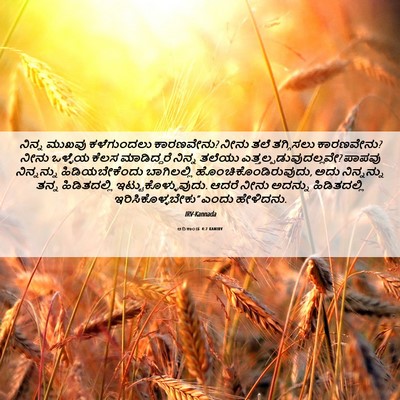 Picture 06 - ಆದಿಕಾಂಡ 4:7 KANIRV - ನಿನ್ನ ಮುಖವು - Bible Verse Picture