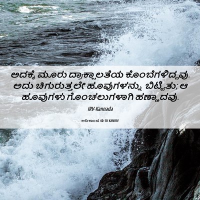 Picture 06 - ಆದಿಕಾಂಡ 40:10 KANIRV - ಅದಕ್ಕೆ ಮೂರು - Bible Verse Picture