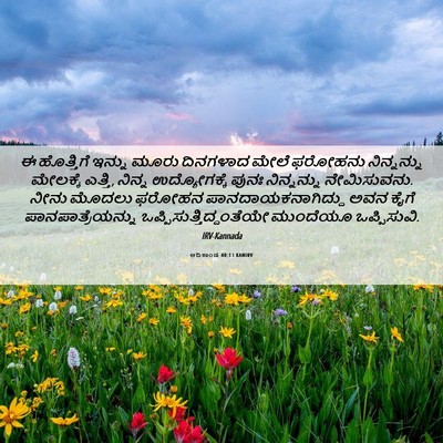 Picture 06 - ಆದಿಕಾಂಡ 40:13 KANIRV - ಈ ಹೊತ್ತಿಗೆ ಇನ್ನು - Bible Verse Picture