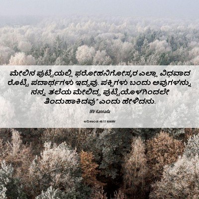 Picture 06 - ಆದಿಕಾಂಡ 40:17 KANIRV - ಮೇಲಿನ ಪುಟ್ಟಿಯಲ್ಲಿ - Bible Verse Picture
