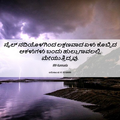 Picture 06 - ಆದಿಕಾಂಡ 41:18 KANIRV - ನೈಲ್ ನದಿಯೊಳಗಿಂದ - Bible Verse Picture