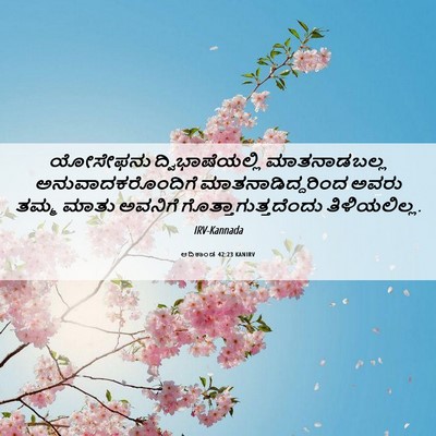 Picture 06 - ಆದಿಕಾಂಡ 42:23 KANIRV - ಯೋಸೇಫನು - Bible Verse Picture