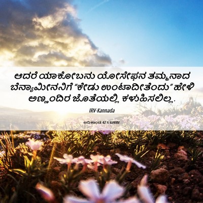 Picture 06 - ಆದಿಕಾಂಡ 42:4 KANIRV - ಆದರೆ ಯಾಕೋಬನು - Bible Verse Picture