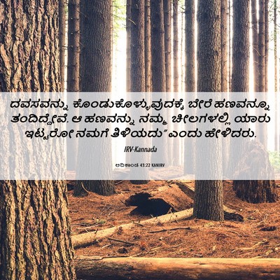 Picture 06 - ಆದಿಕಾಂಡ 43:22 KANIRV - ದವಸವನ್ನು - Bible Verse Picture