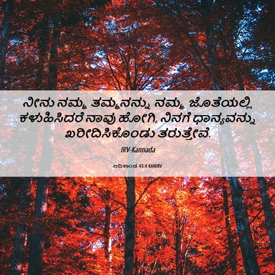 Picture 06 - ಆದಿಕಾಂಡ 43:4 KANIRV - ನೀನು ನಮ್ಮ - Bible Verse Picture