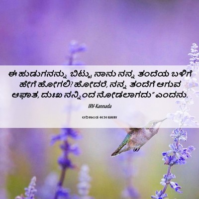 Picture 06 - ಆದಿಕಾಂಡ 44:34 KANIRV - ಈ ಹುಡುಗನನ್ನು - Bible Verse Picture