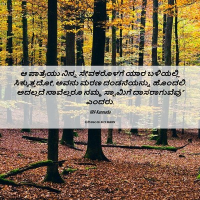Picture 06 - ಆದಿಕಾಂಡ 44:9 KANIRV - ಆ ಪಾತ್ರೆಯು ನಿನ್ನ - Bible Verse Picture