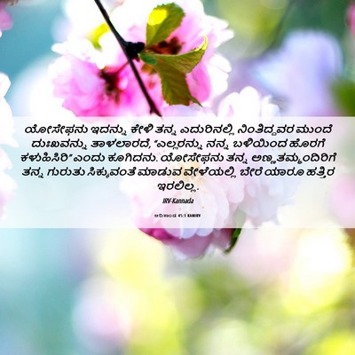 Picture 06 - ಆದಿಕಾಂಡ 45:1 KANIRV - ಯೋಸೇಫನು ಇದನ್ನು - Bible Verse Picture