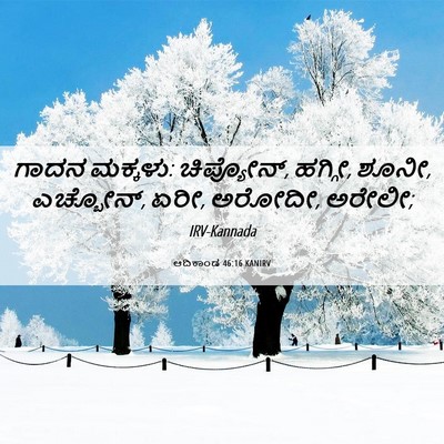 Picture 06 - ಆದಿಕಾಂಡ 46:16 KANIRV - ಗಾದನ ಮಕ್ಕಳು: - Bible Verse Picture