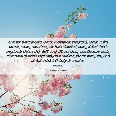Picture 06 - ಆದಿಕಾಂಡ 47:18 KANIRV - ಆ ವರ್ಷ ಕಳೆದ ನಂತರ - Bible Verse Picture
