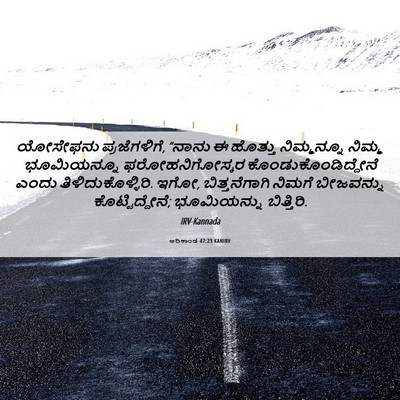 Picture 06 - ಆದಿಕಾಂಡ 47:23 KANIRV - ಯೋಸೇಫನು - Bible Verse Picture